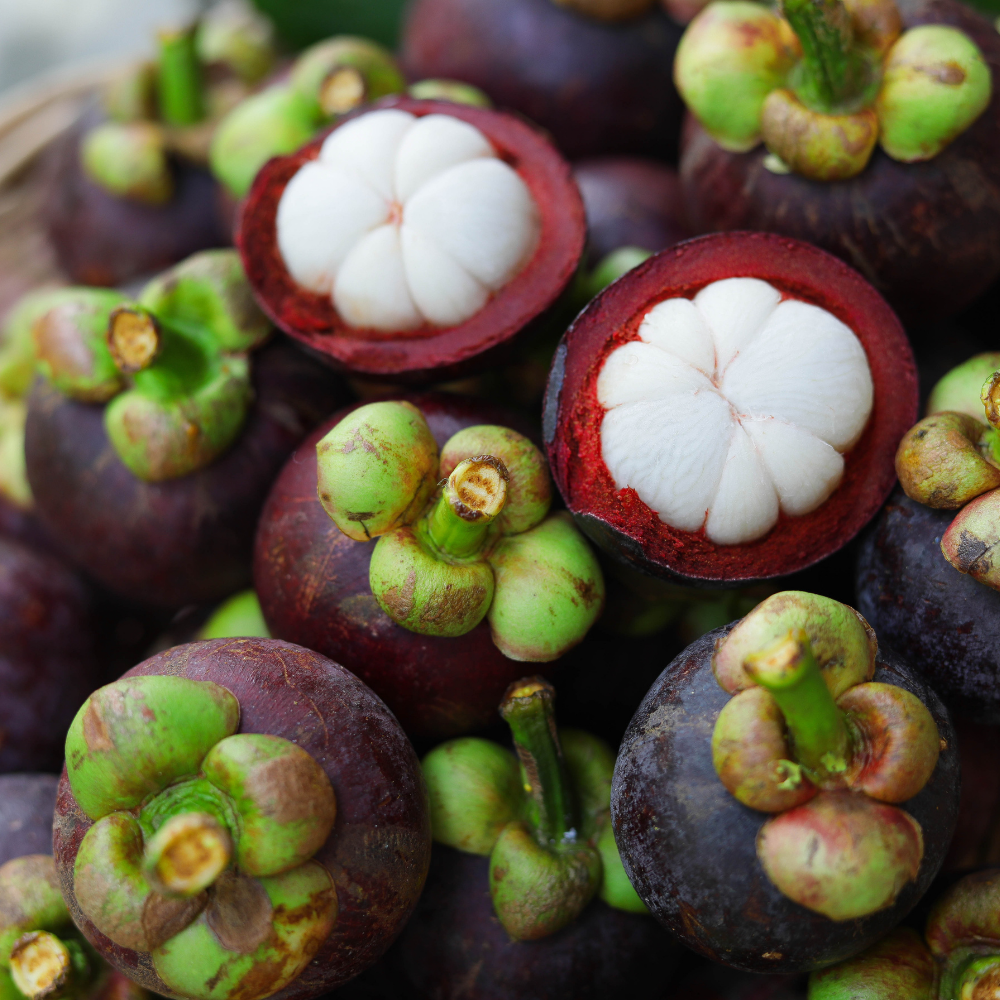 What’s the Hype Behind Mangosteen?