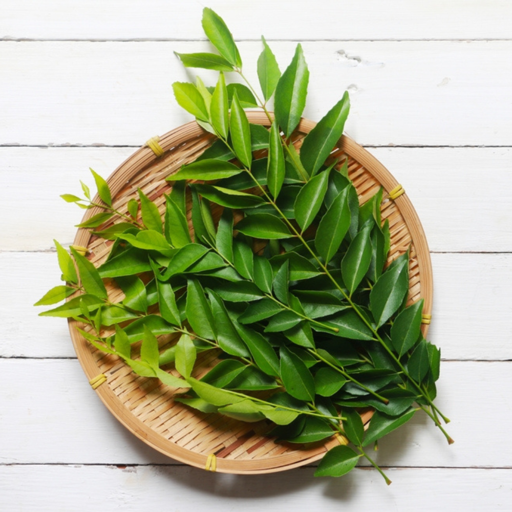 FRESH CURRY LEAVES (KADI PATTA)