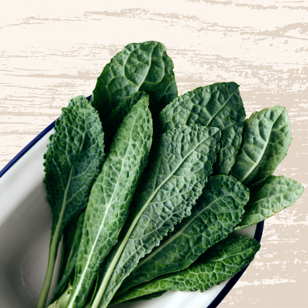 FRESH FLAT KALE