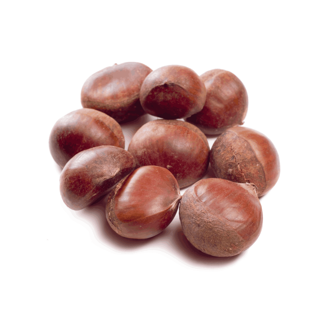 HIMALAYAN CHESTNUTS