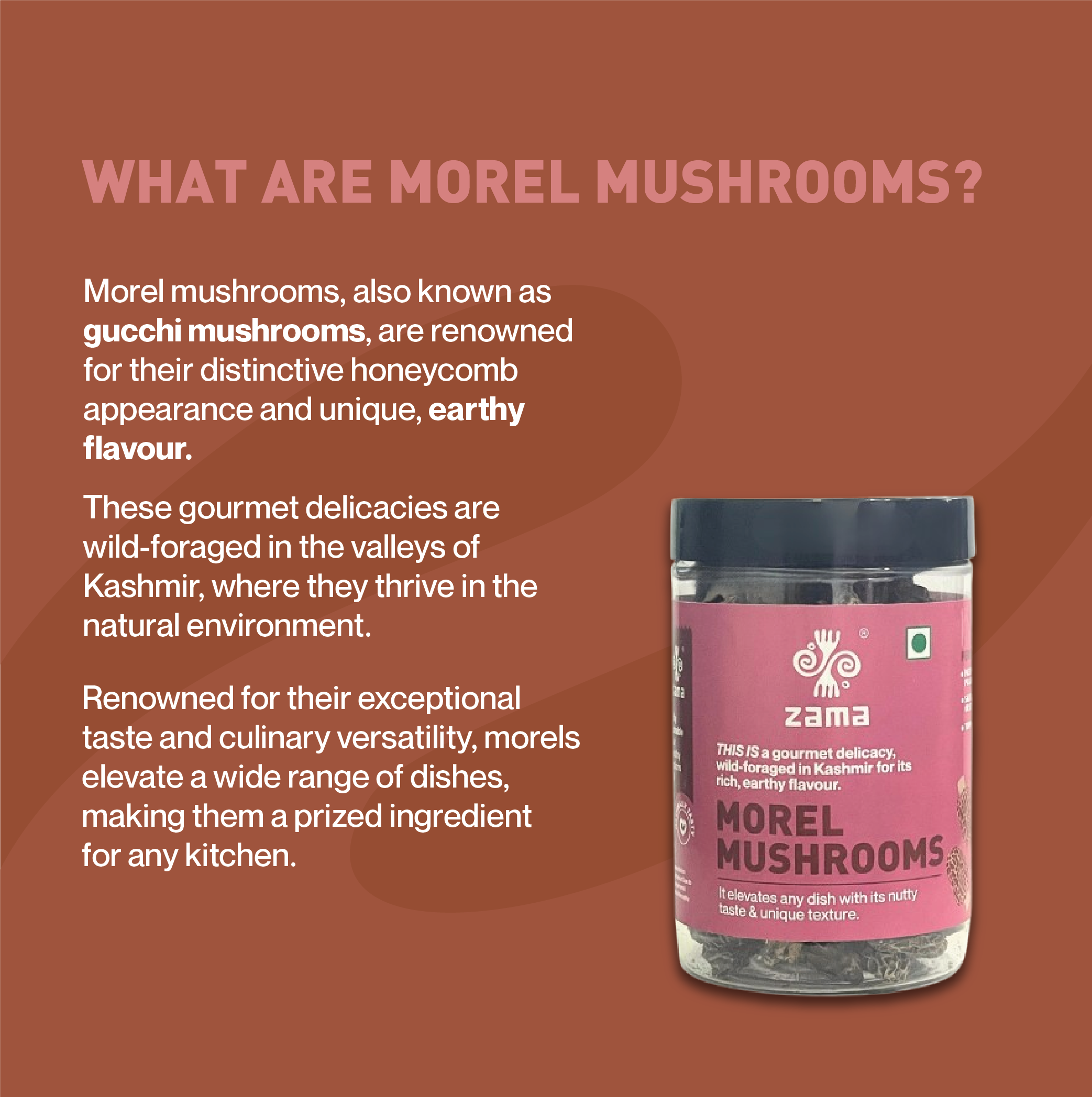 MOREL MUSHROOM