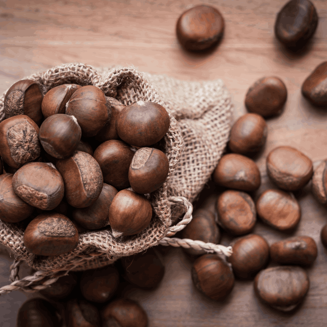 HIMALAYAN CHESTNUTS