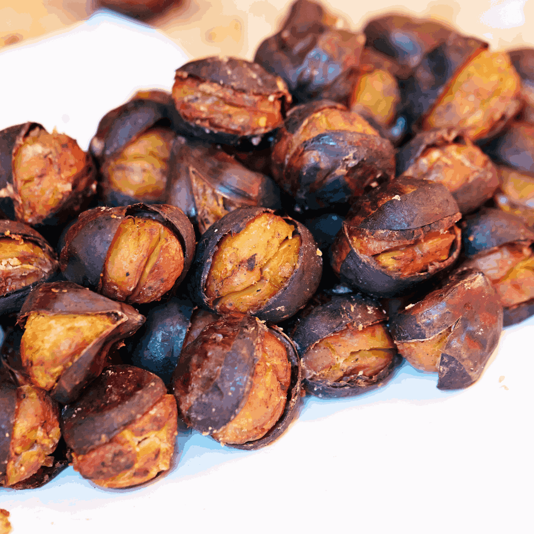 HIMALAYAN CHESTNUTS