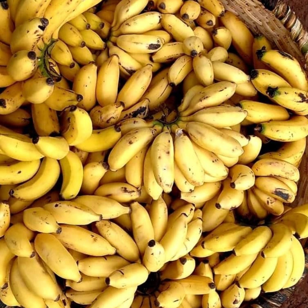 ELAICHEE BANANA