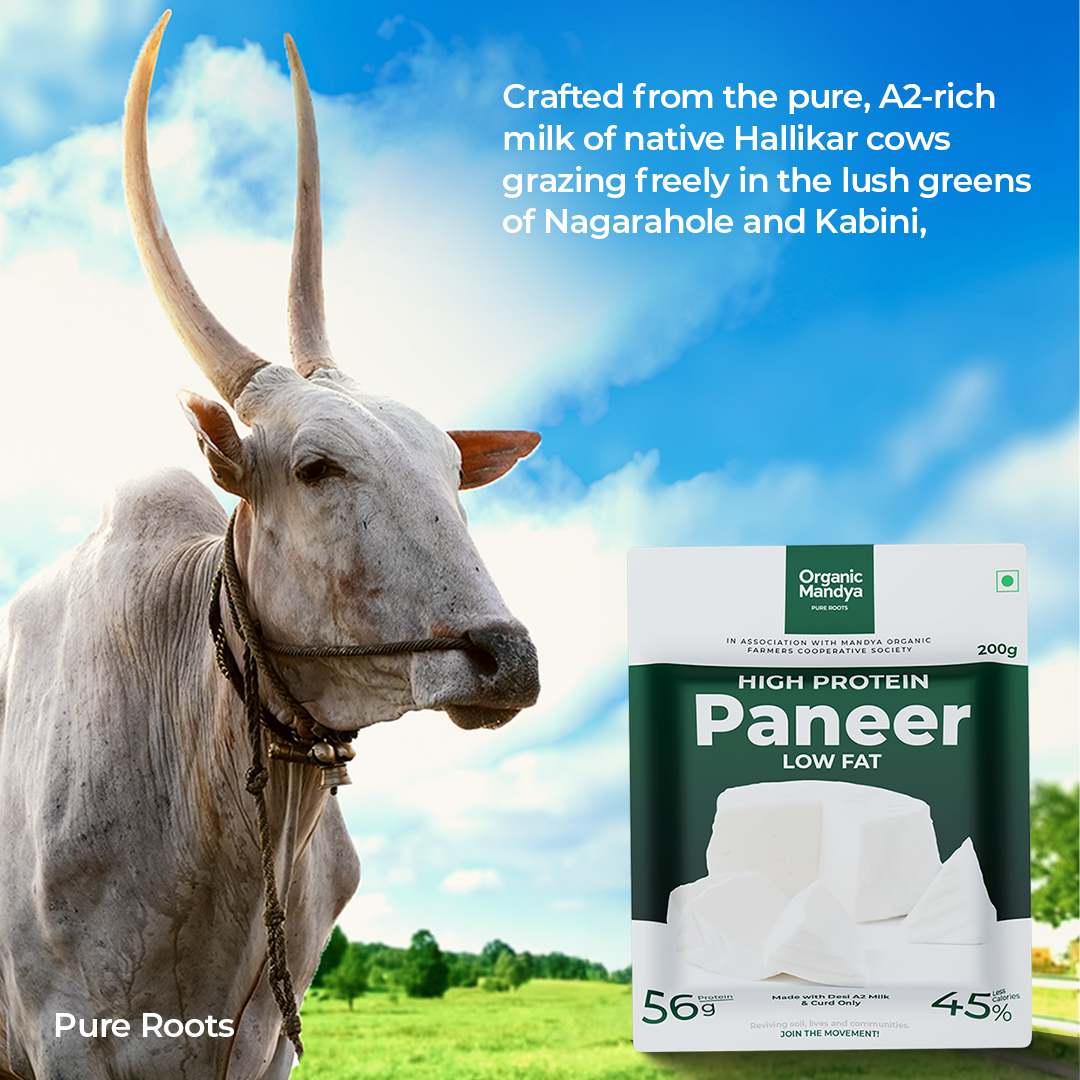 A2 HIGH PROTEIN PANEER