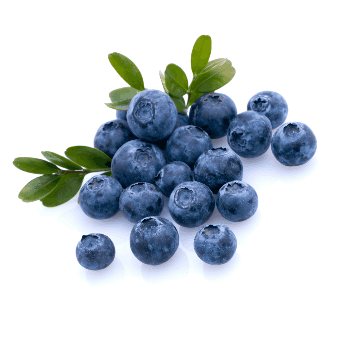 BLUEBERRY
