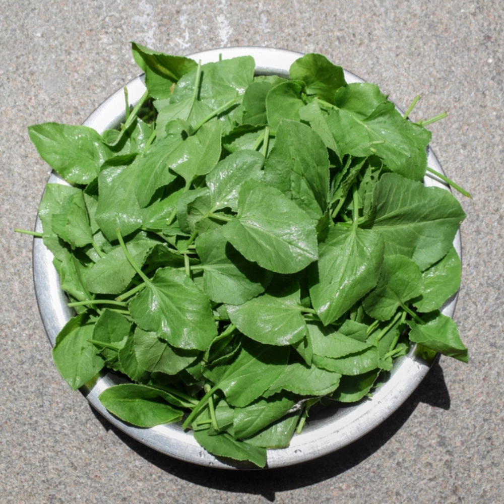 FRESH SALAD MIX BUNDLE