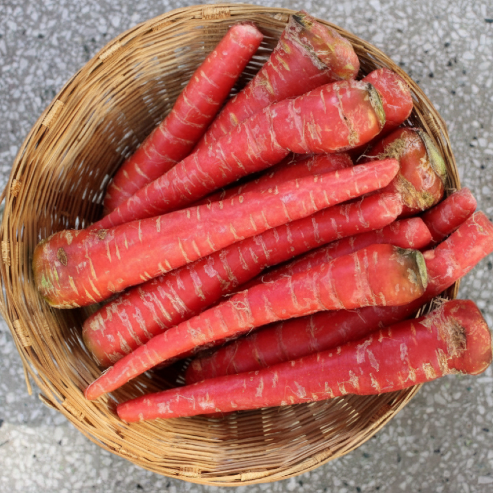 RED CARROT