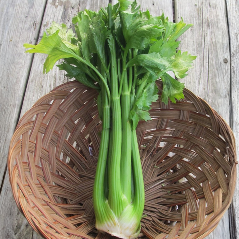 HEALTHY GREEN'S BUNDLE