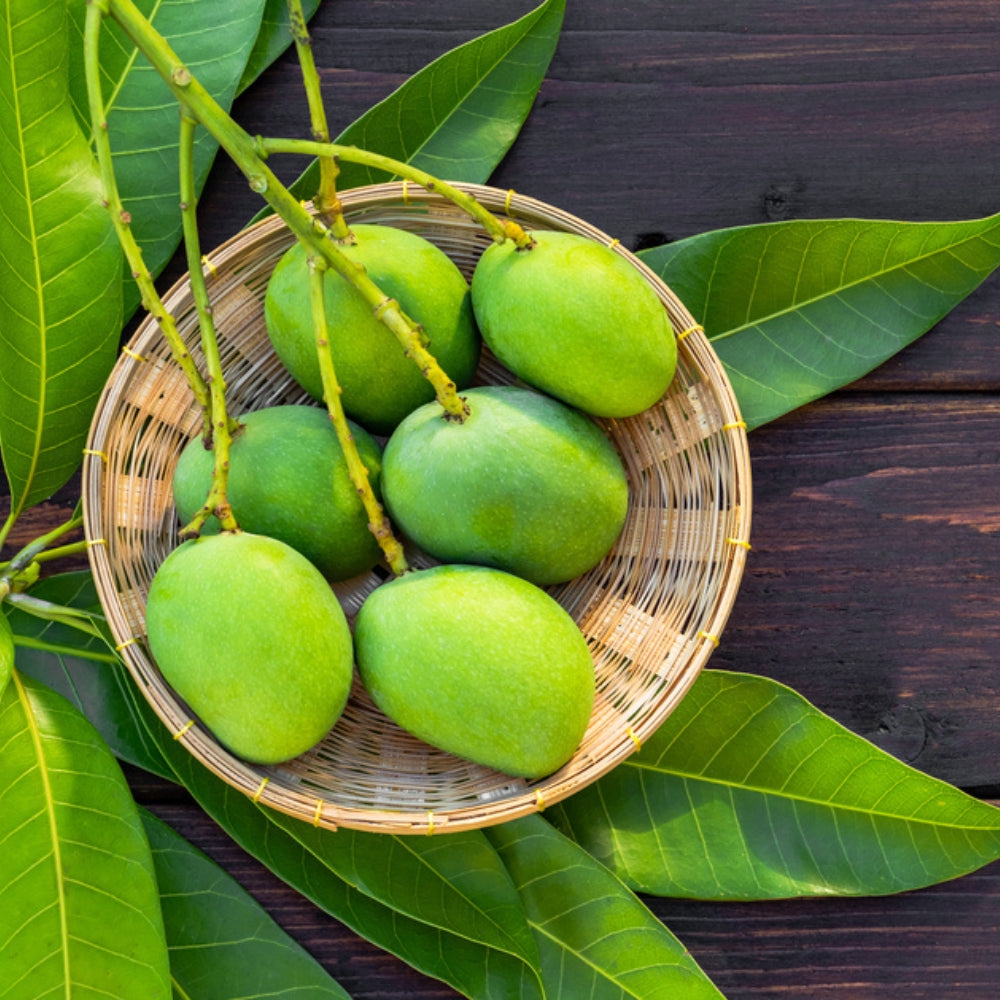 FRESH RAW MANGO