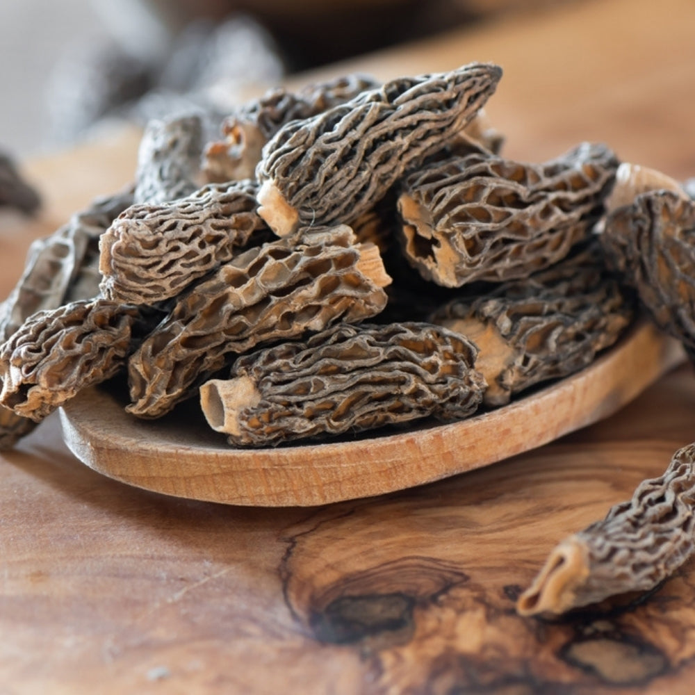MOREL MUSHROOM