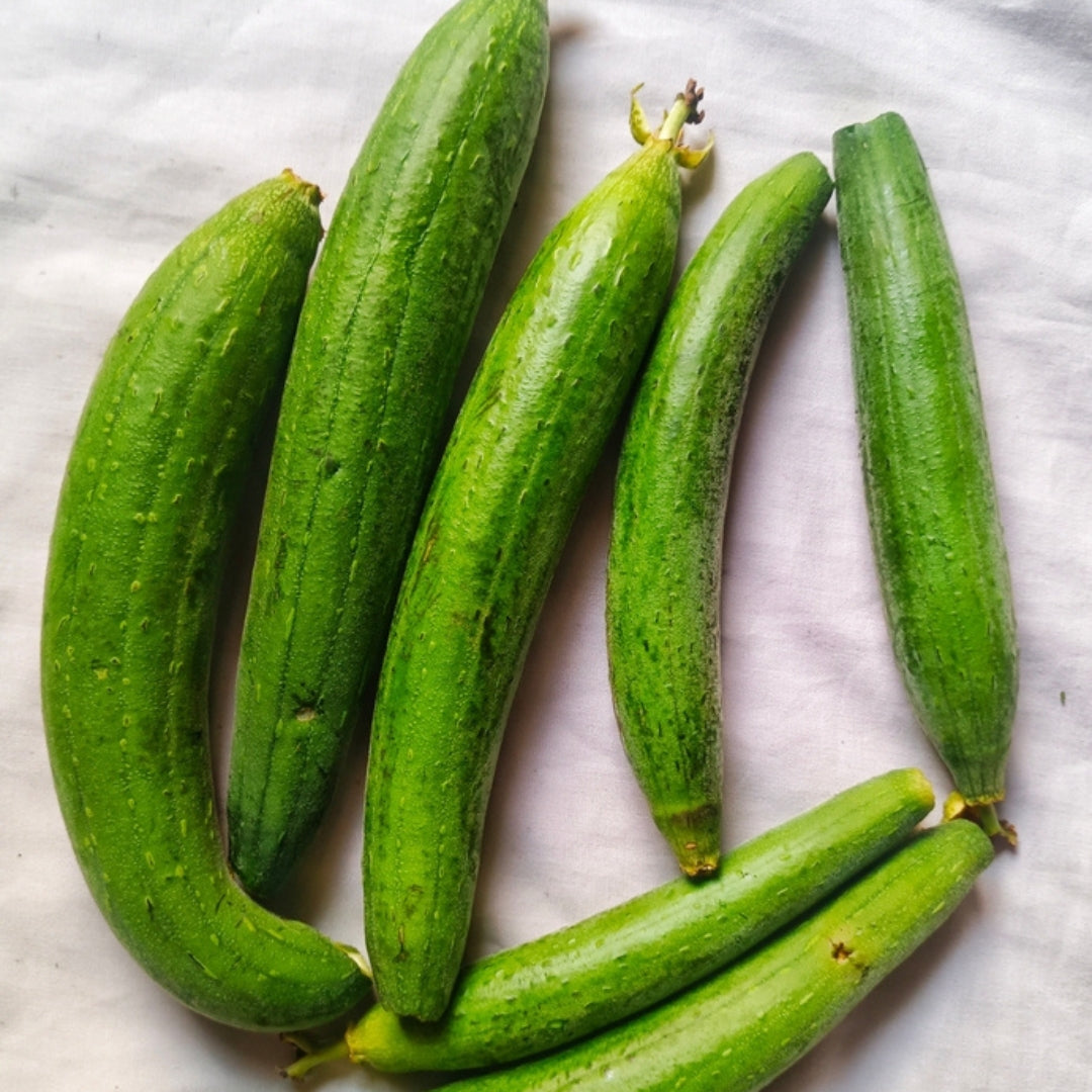 FRESH RIDGE GOURD (TURAI)