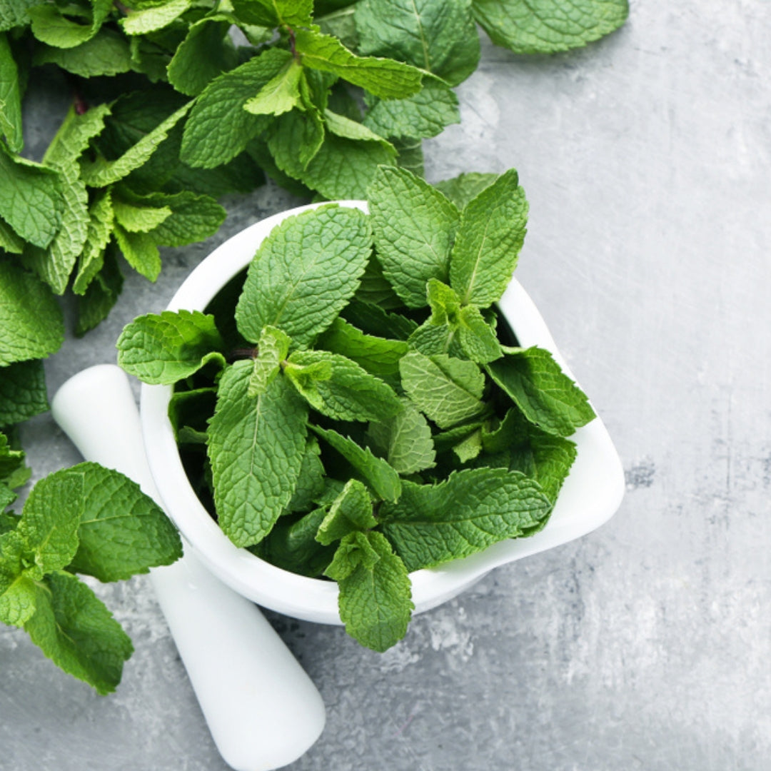 FRESH MINT LEAVES