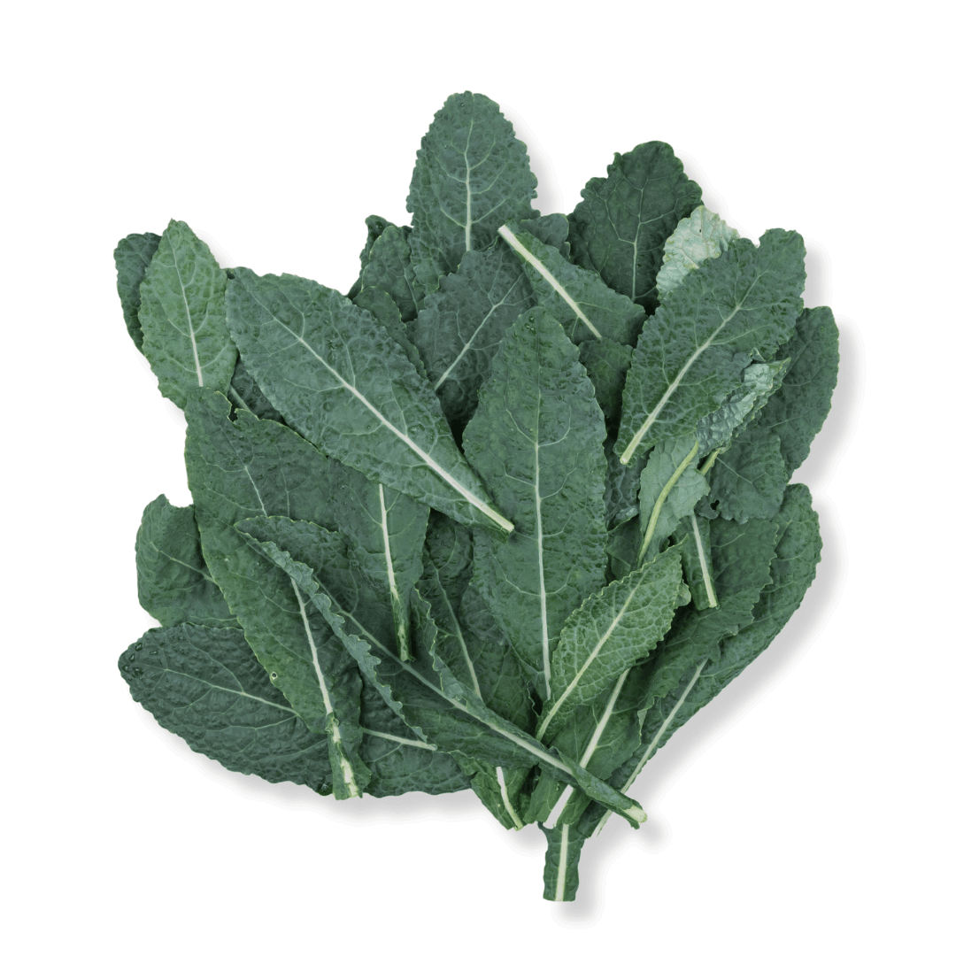 FRESH FLAT KALE