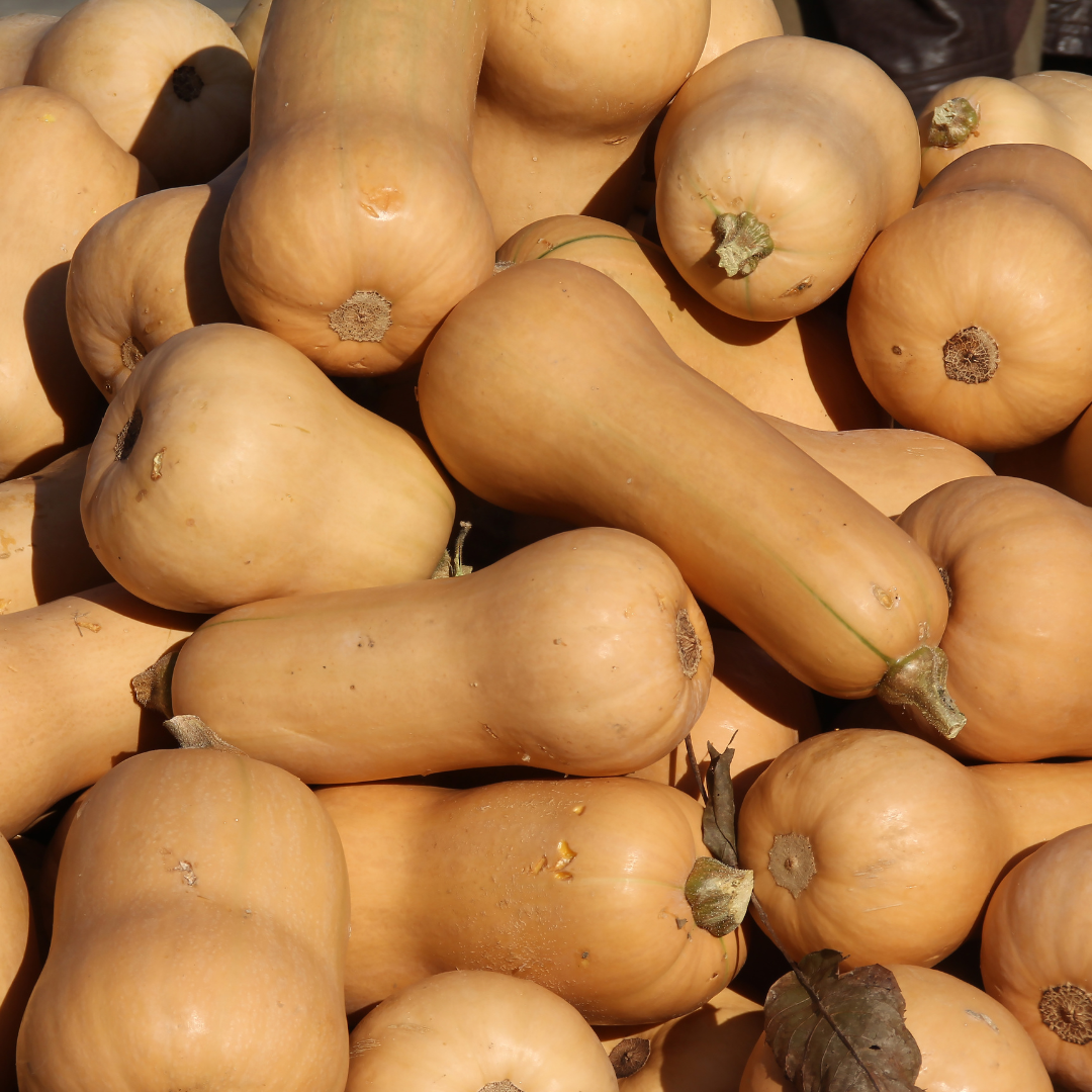 ORGANIC BUTTERNUT SQUASH