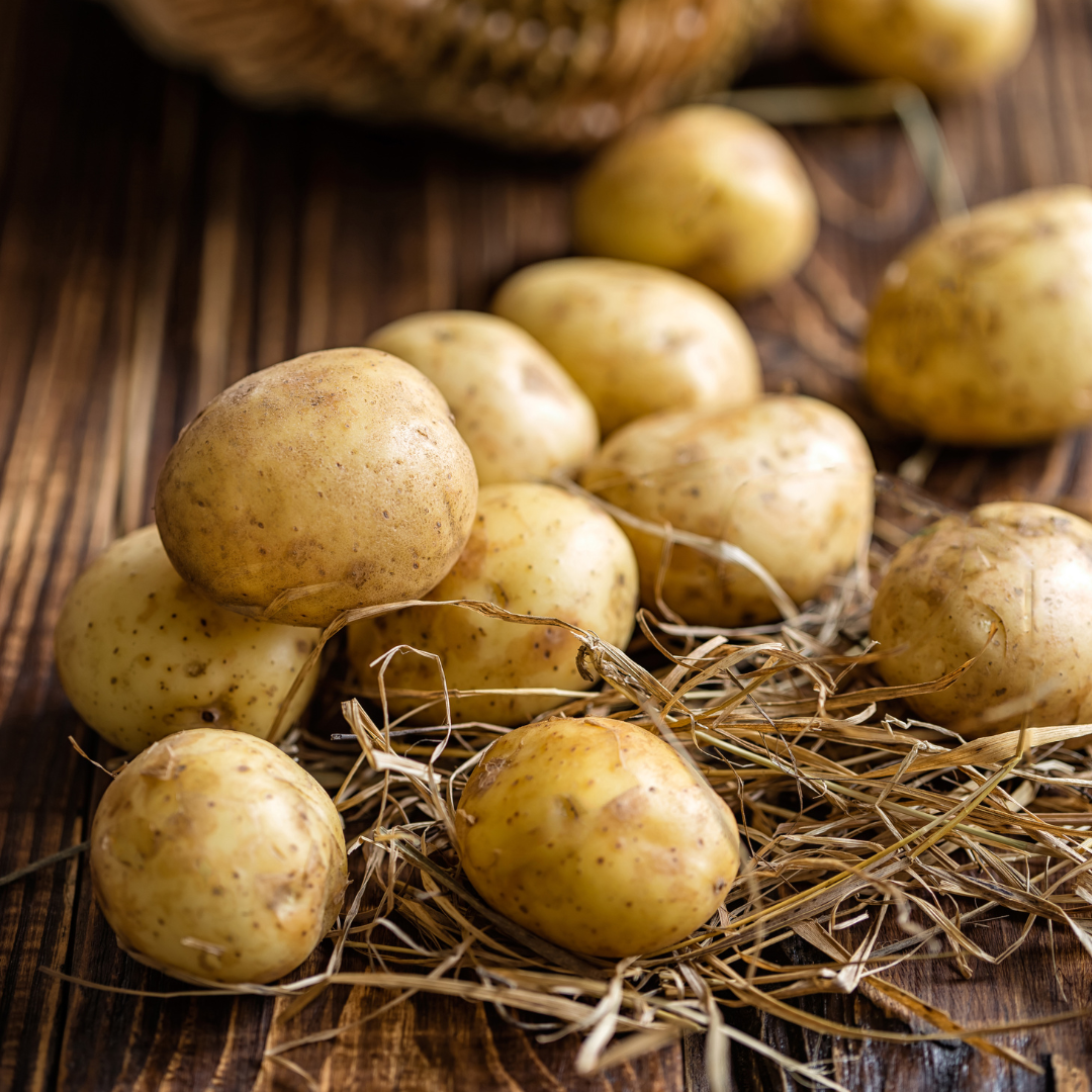 BABY POTATO