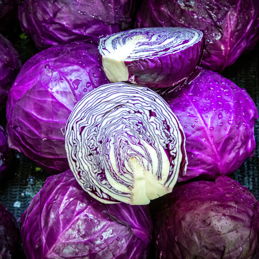 FRESH RED CABBAGE