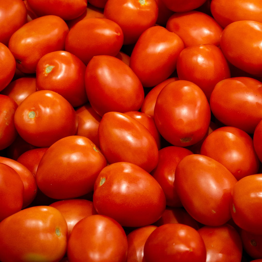 FRESH TOMATO