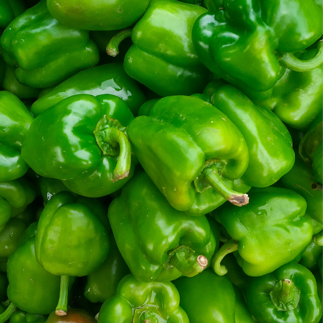 FRESH CAPSICUM