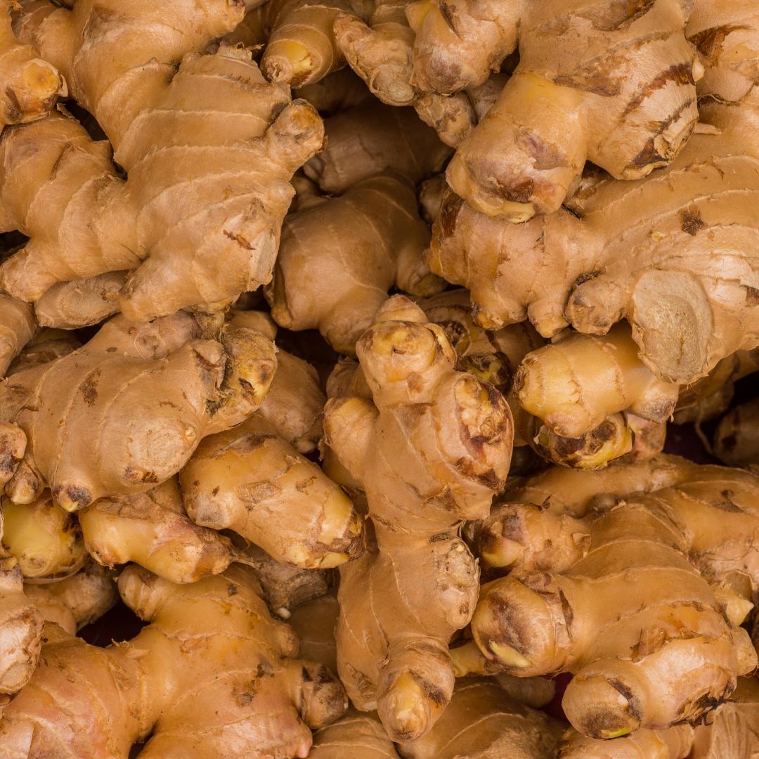 FRESH GINGER