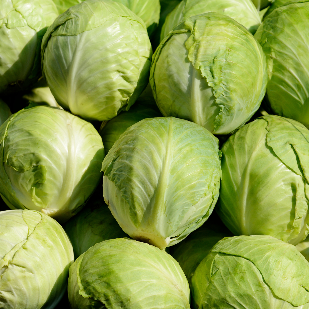 FRESH CABBAGE