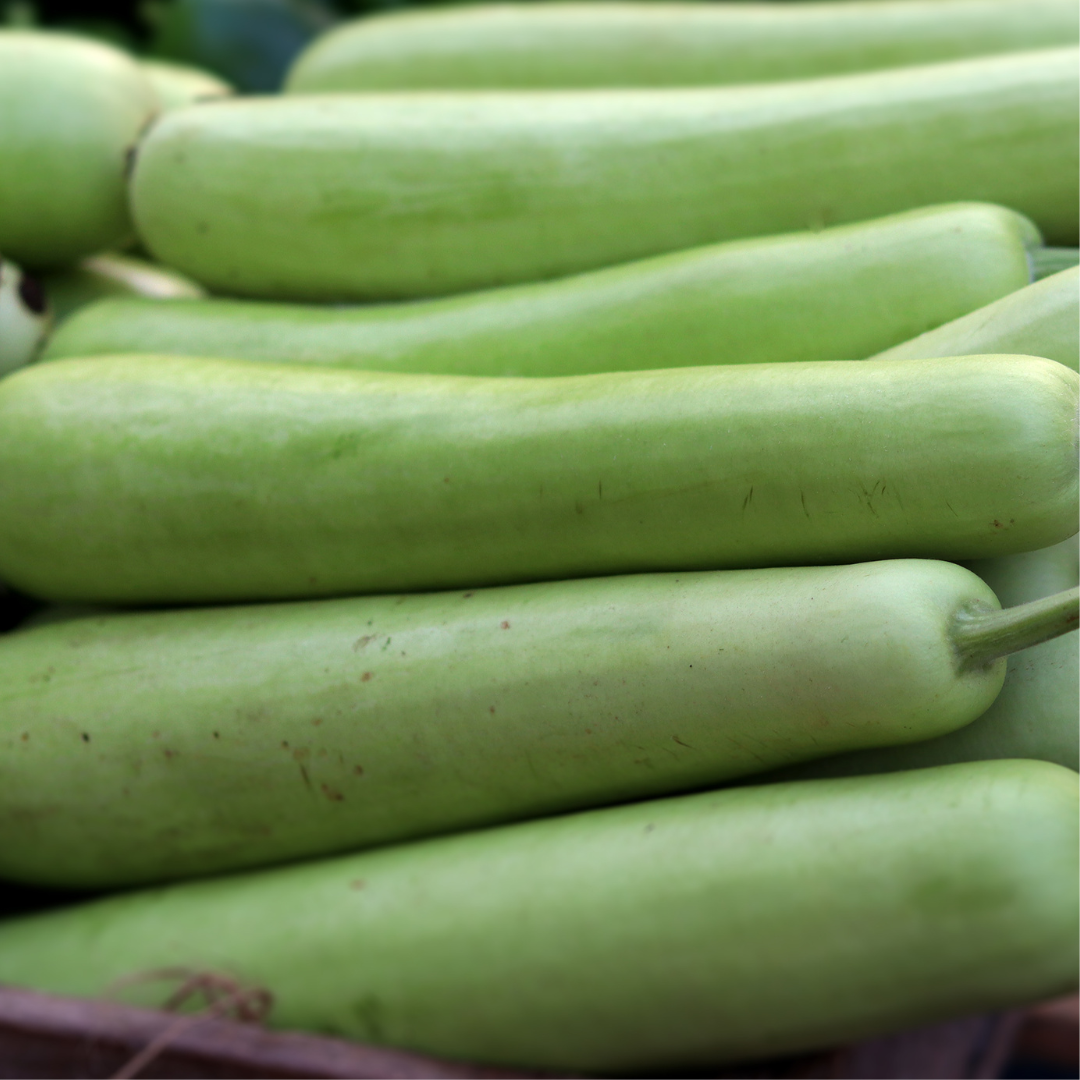 BOTTLE GOURD (DUDHI)