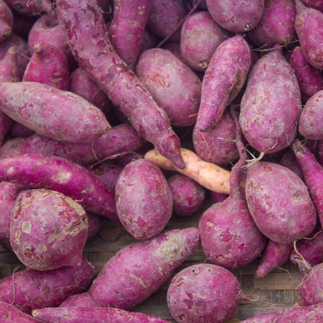 FRESH SWEET POTATO