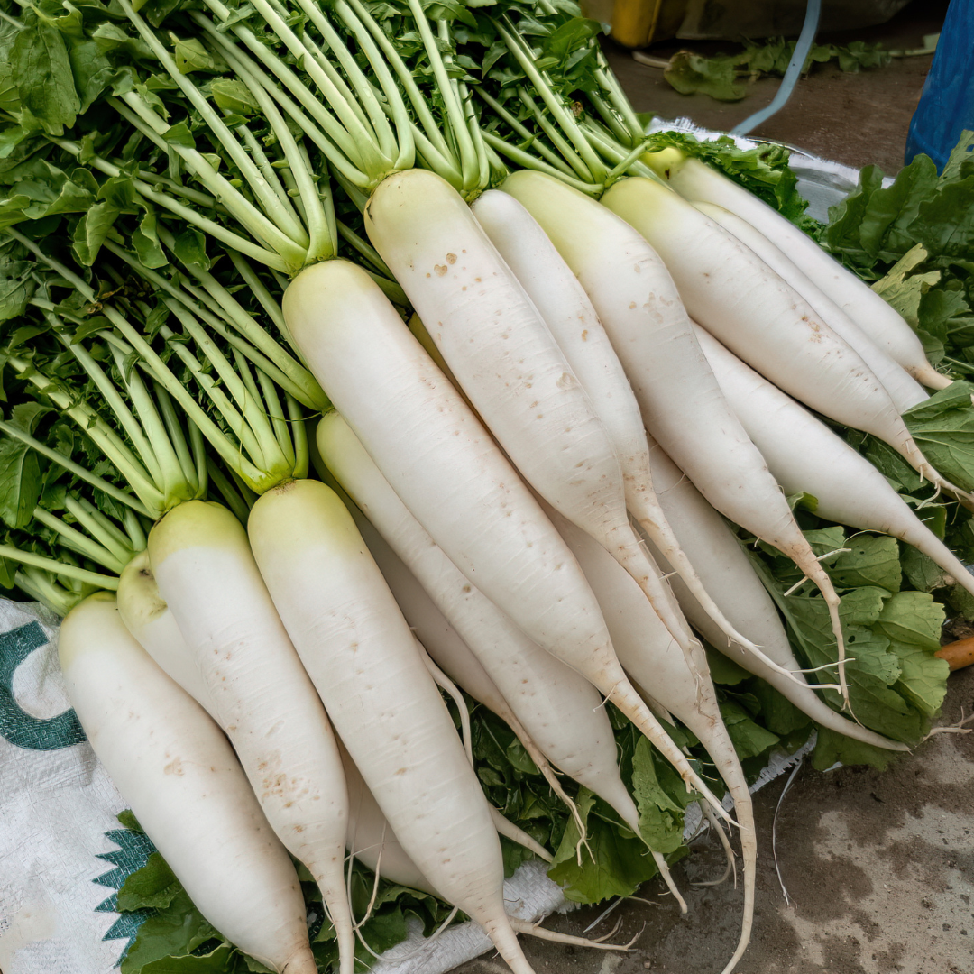 ORGANIC RADISH
