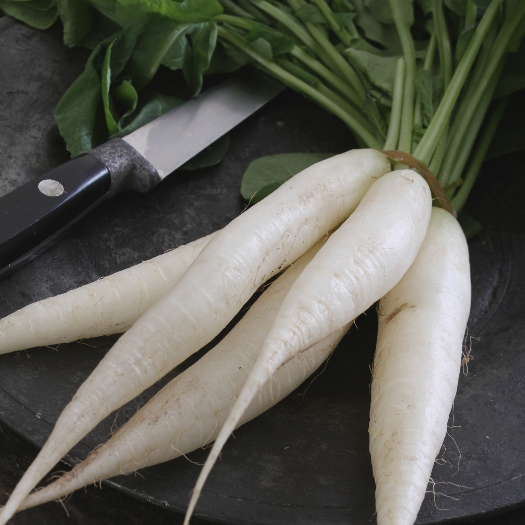 ORGANIC RADISH