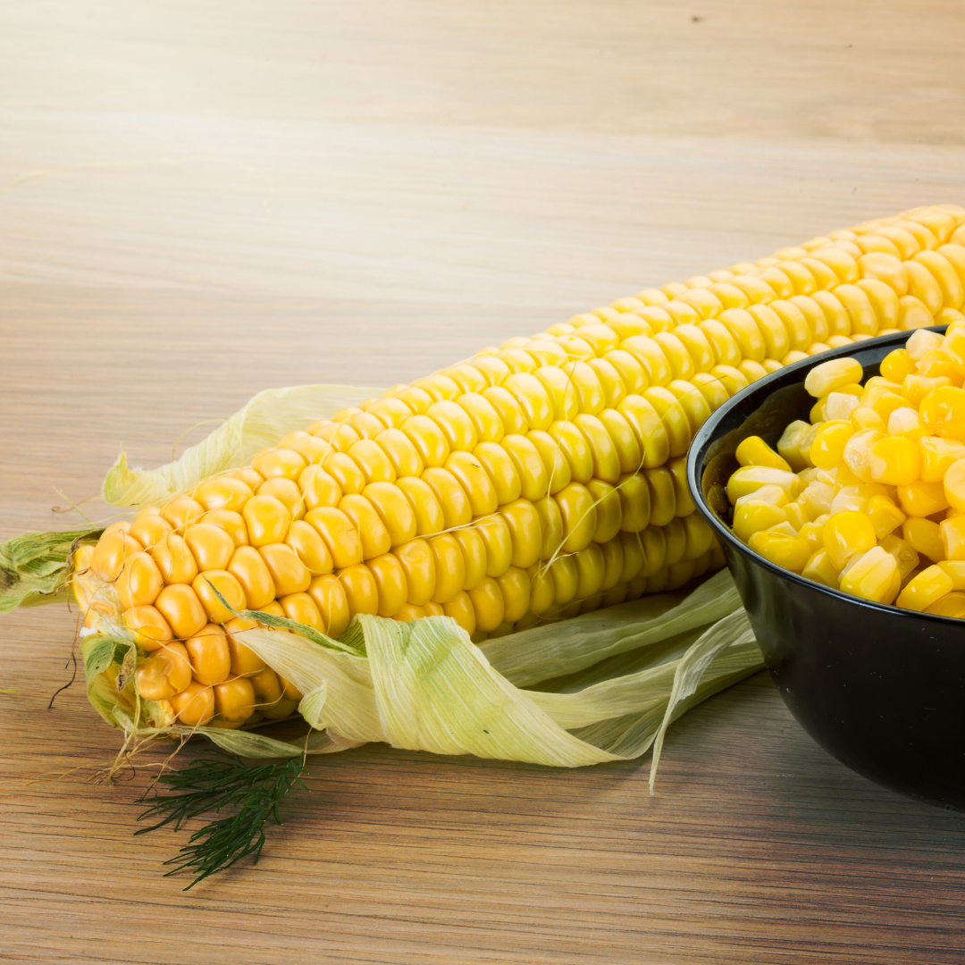 FRESH SWEET CORN