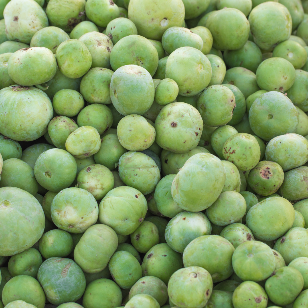 FRESH TINDA