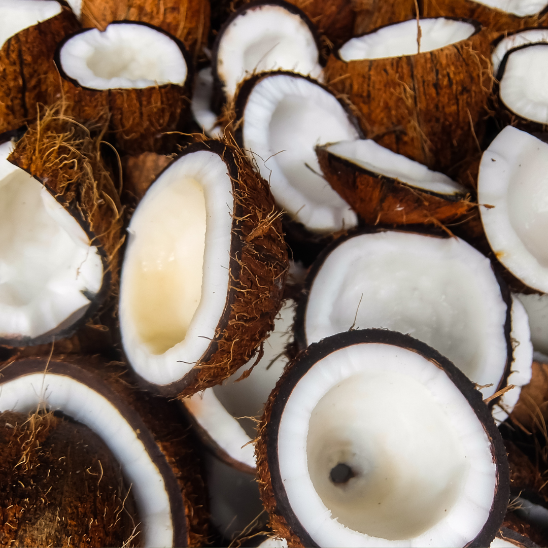 FRESH COCONUT