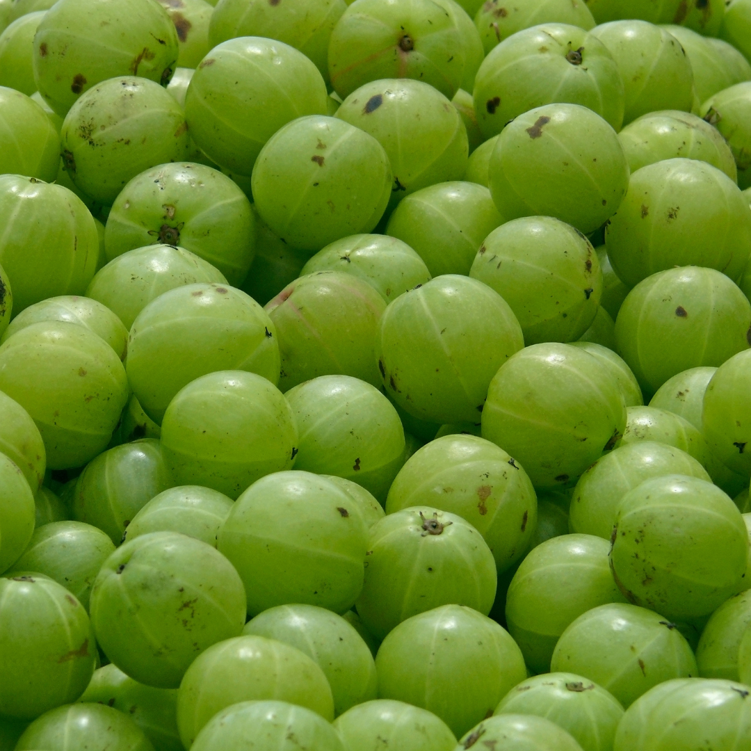 ORGANIC AMLA
