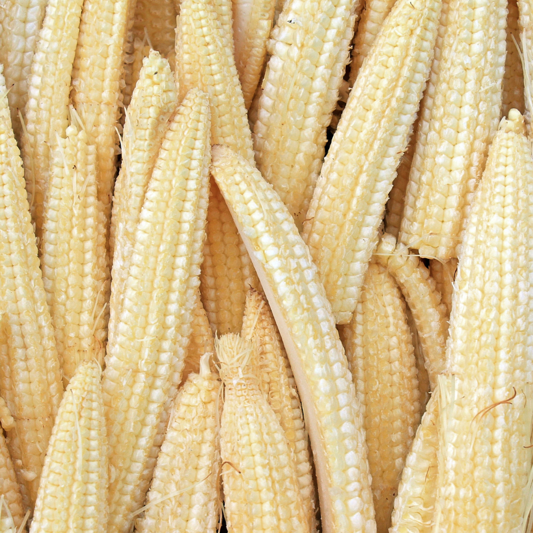 BABY CORN