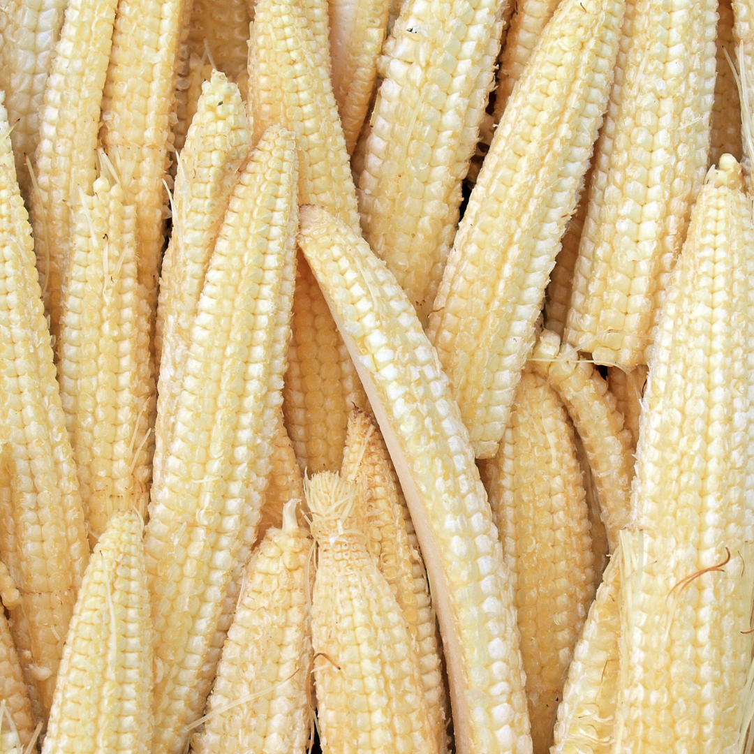ORGANIC BABY CORN