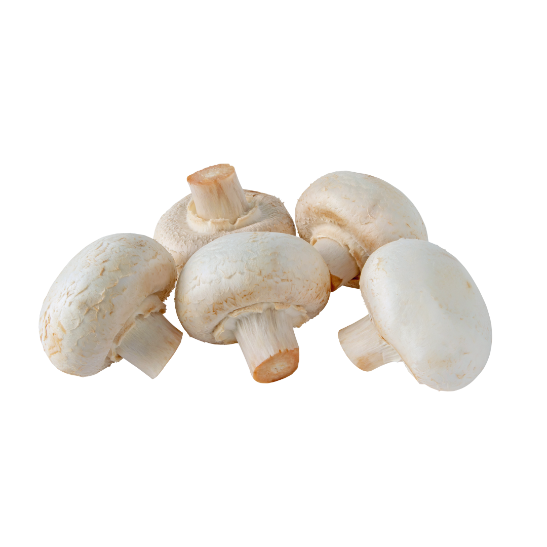 WHITE BUTTON MUSHROOM