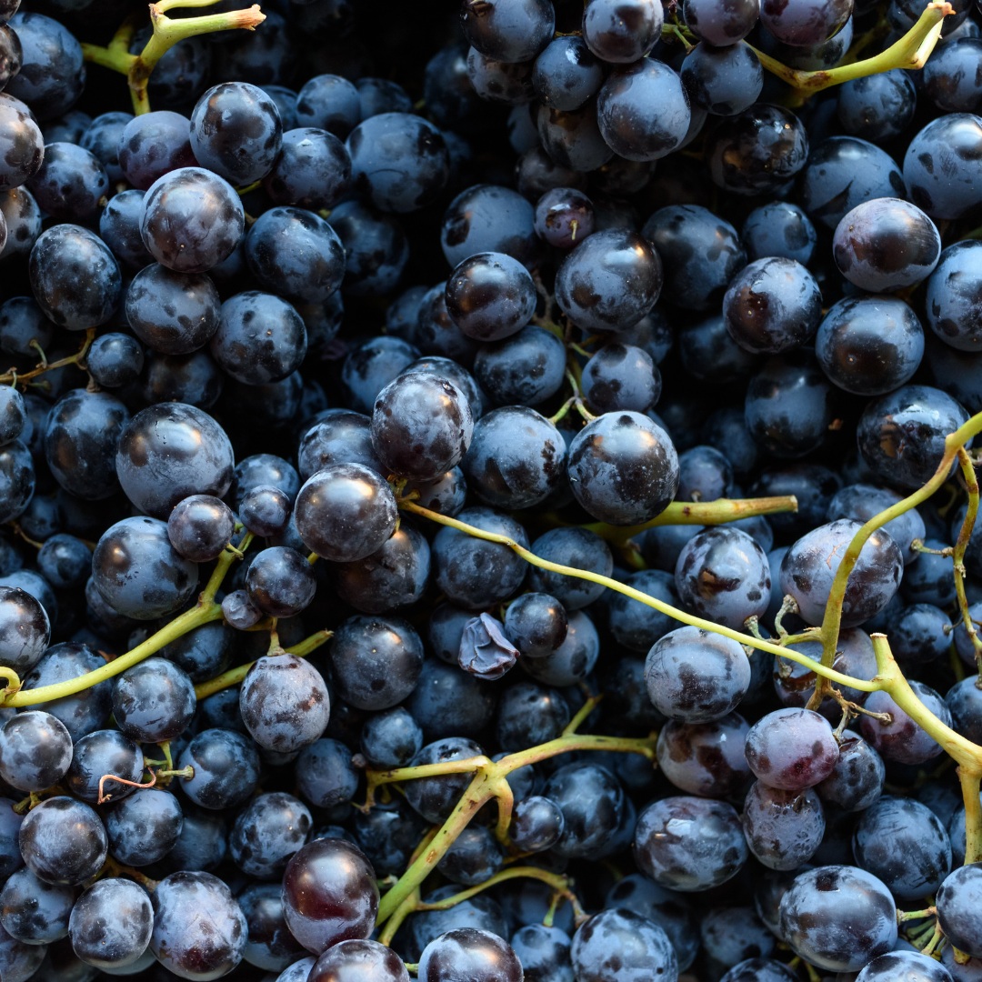 ORGANIC GRAPES BLACK