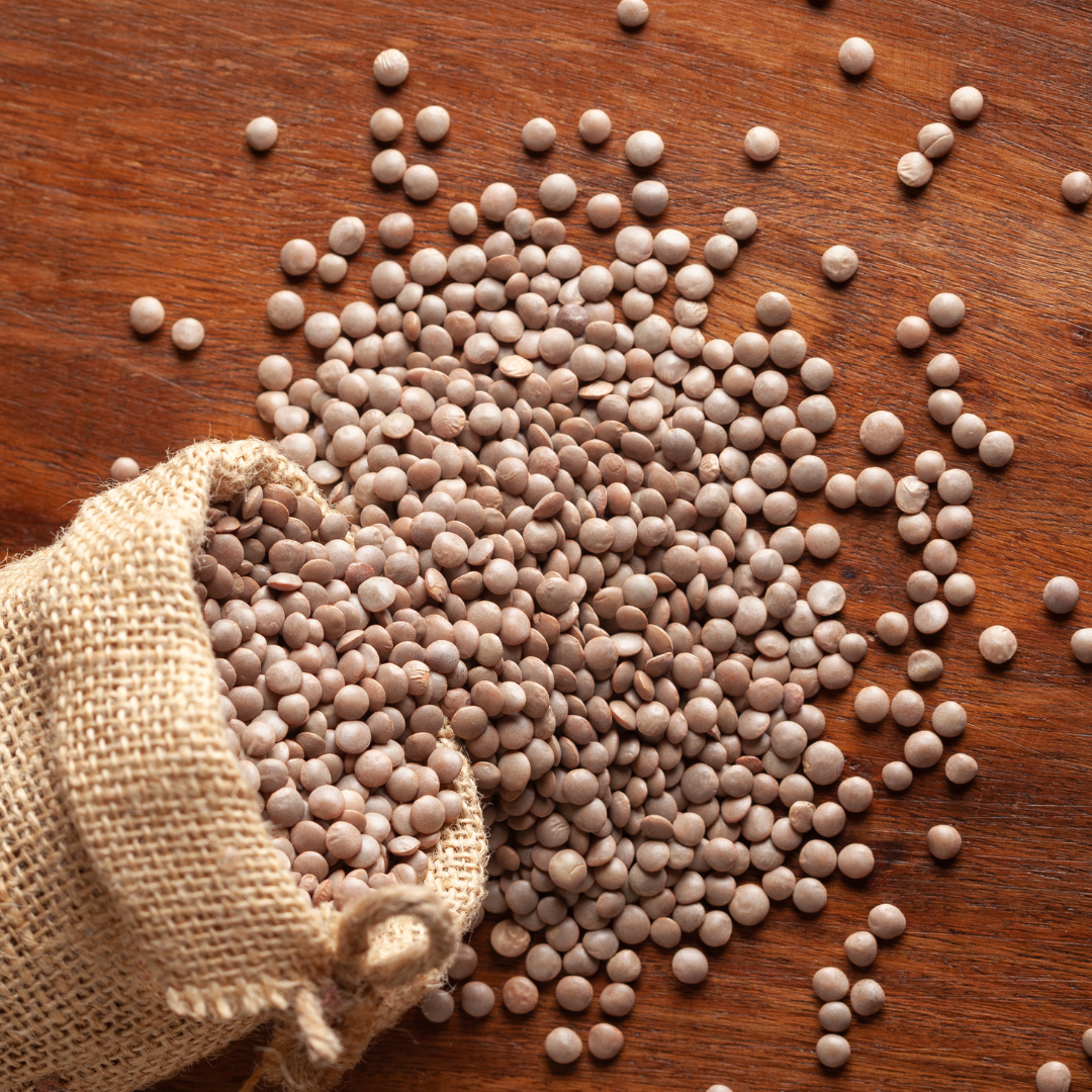 Organic Whole Masoor-plant based source of protrein