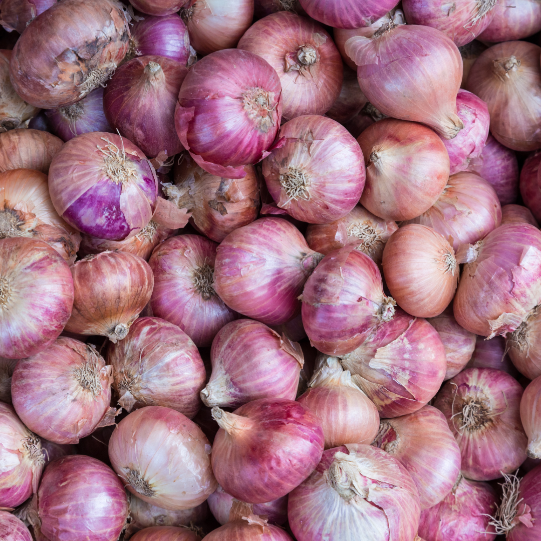 ORGANIC ONION