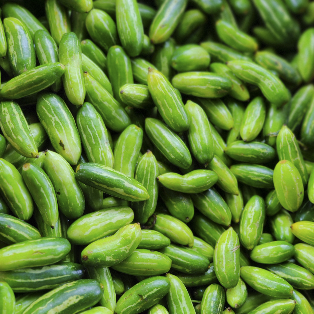 FRESH TINDLI