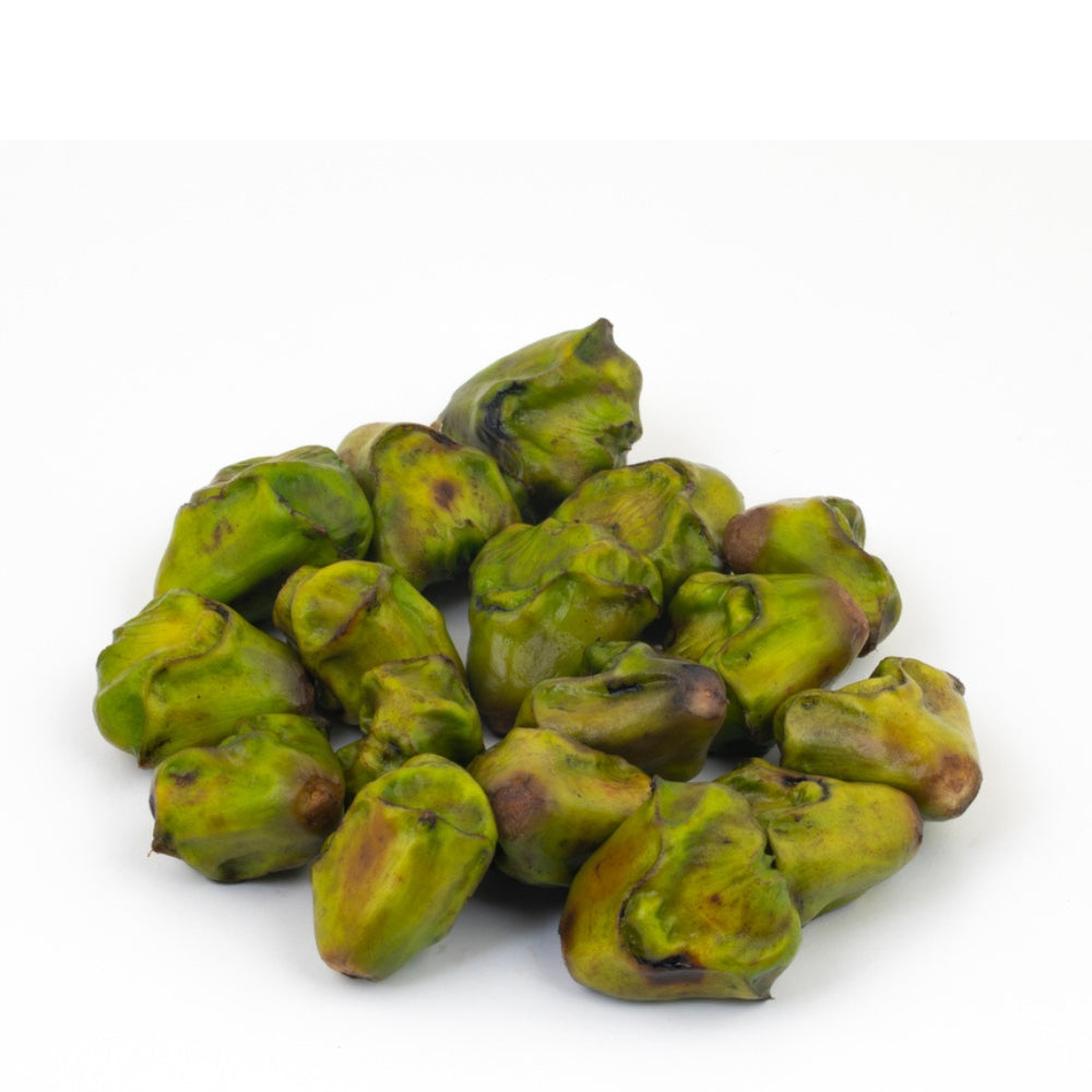 FRESH WATER CHESTNUT