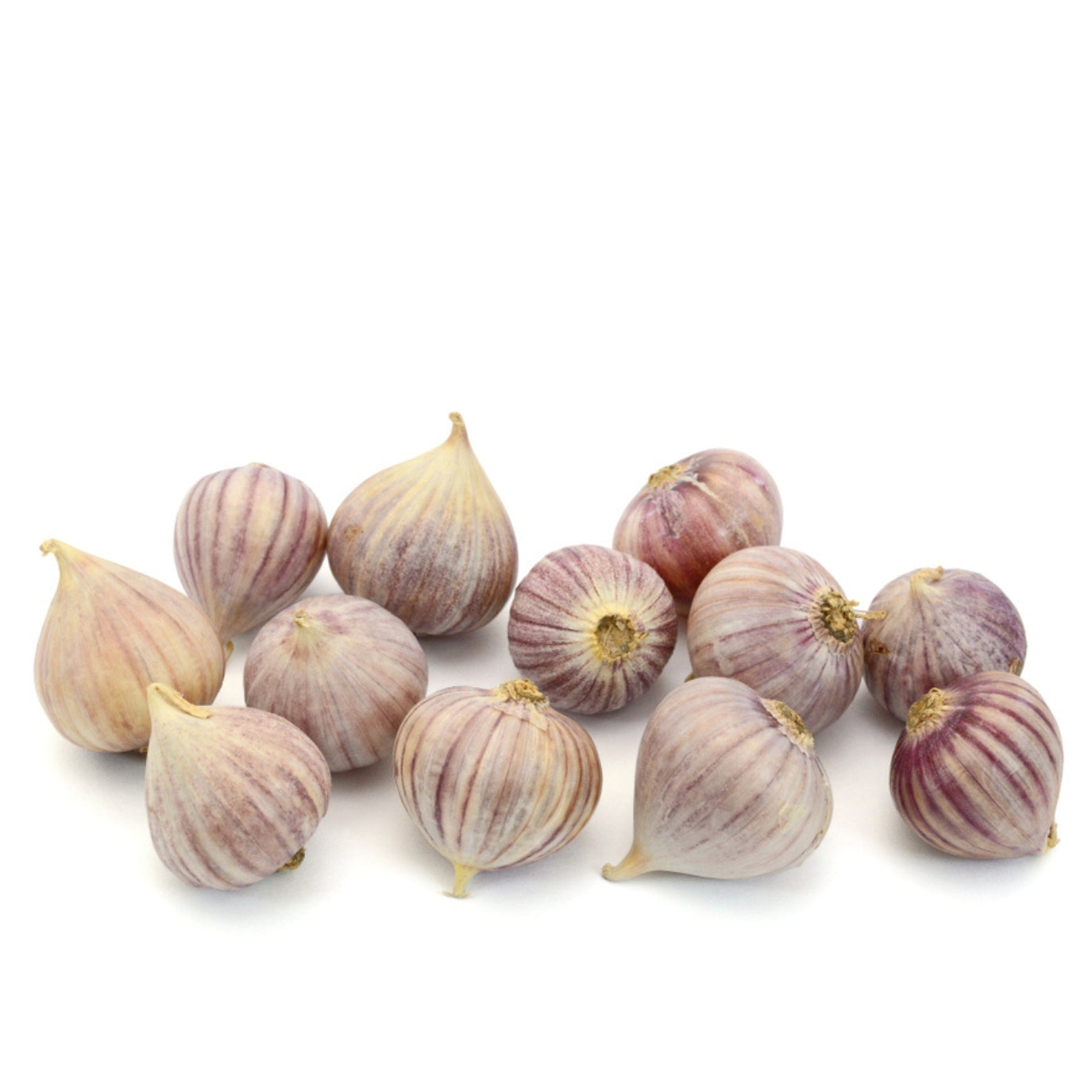 SINGLE CLOVE GARLIC