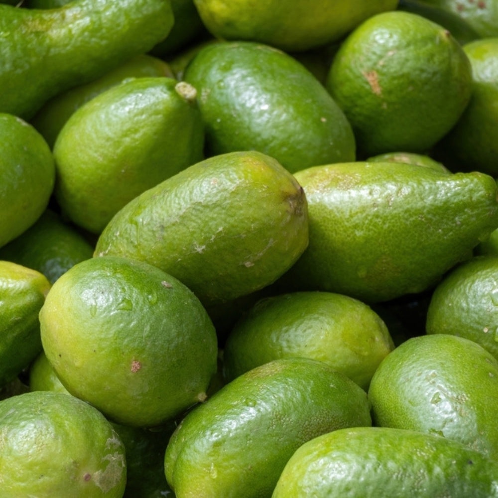 GONDHORAJ LEMON