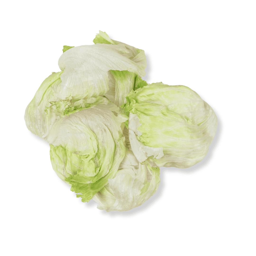 ORGANIC ICEBERG LETTUCE