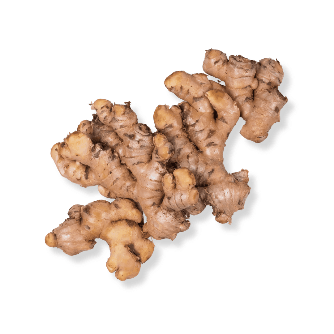 ORGANIC GINGER