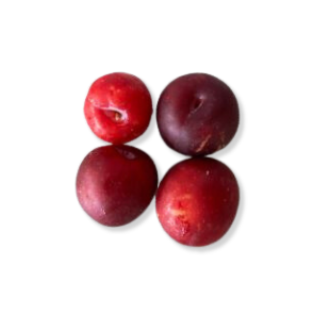 FRESH PLUM