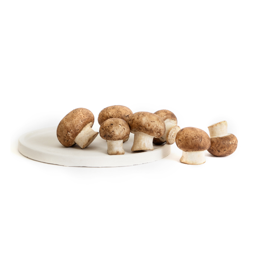 CREMINI MUSHROOM