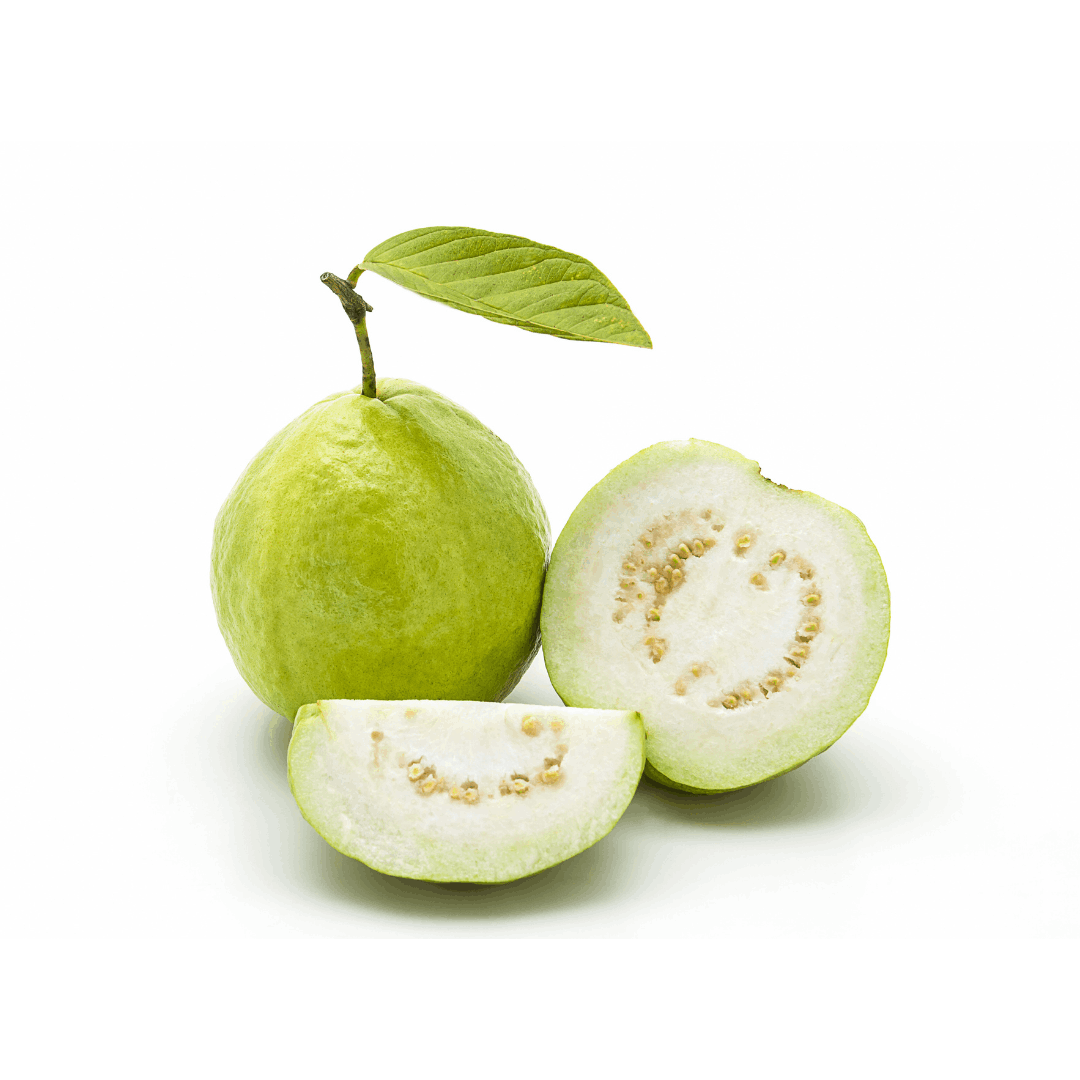FRESH GUAVA