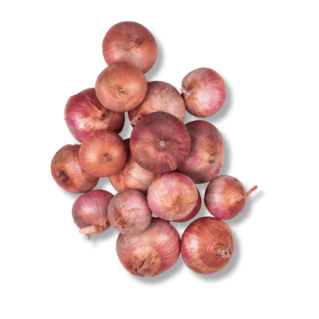 ORGANIC ONION