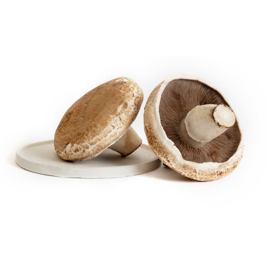 PORTOBELLO MUSHROOM